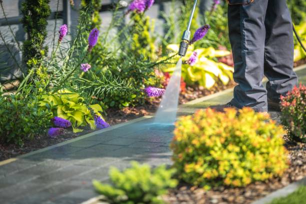 Reliable Freeport, PA Pressure Washing Services Solutions